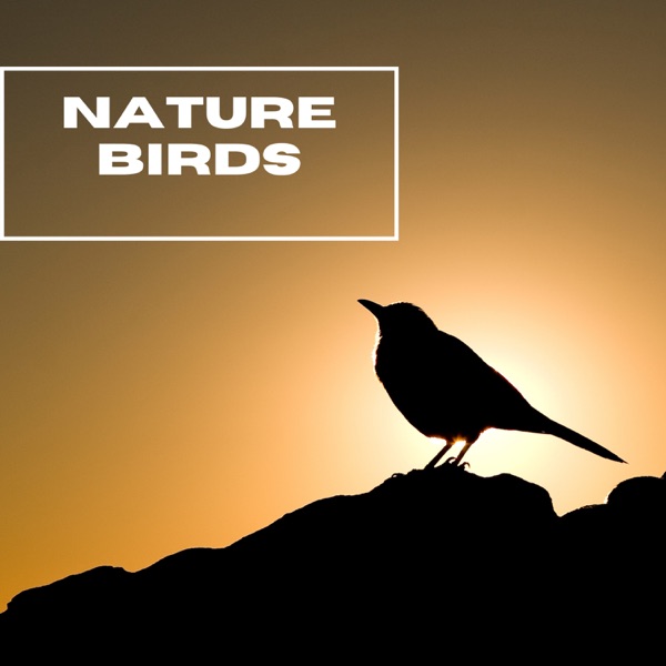 Nature Birds - Mother Nature - EP
