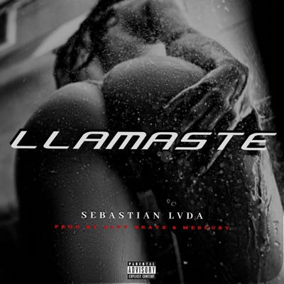 Llamaste - Single