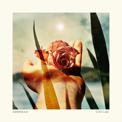 Gold Light (feat. Akacia) - Single