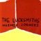 Sunlight In a Jar - The Lucksmiths lyrics
