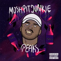 Moshpitjunkie - Single - Peaks