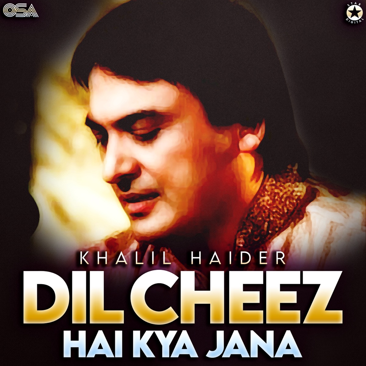 Dil Cheez Hai Kya Jana - Single - Album by Khalil Haider - Apple Music