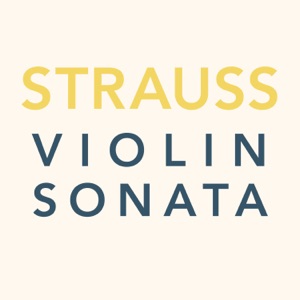 Sonata for Violin and Piano in E-Flat Major, Op. 18: III. Finale: Andante - Allegro