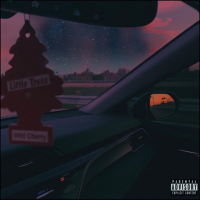 Company - Single