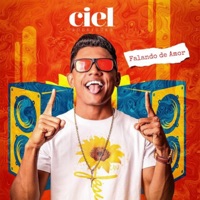 Falando de Amor - Ciel Rodrigues