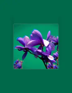 Ben Marsden dinle, müzik videolarını izle, biyografisini oku, tur tarihlerini ve daha fazlasını gör!