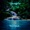 Jackson Morgan, Jay Kim, Kaelyn Behr, MZMC & Mitchell Rose - Jungle