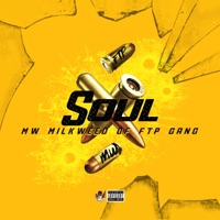 Soul - Single - MW Milkweed