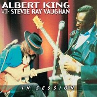 Stevie Ray Vaughan & Albert Ablum Cover