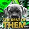 The Rest of Them - Single