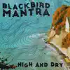 Blackbird Mantra