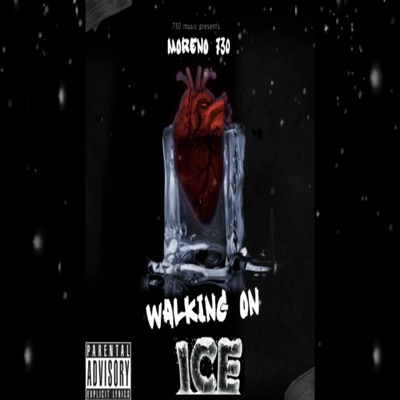 Walking on Ice - Single