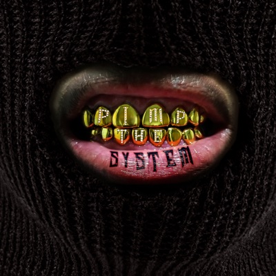 Pimp the System - Single