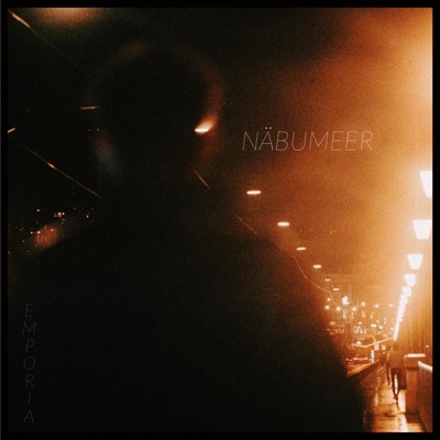 Näbumeer