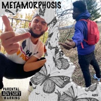 Metamorphosis (feat. Zap the Genie) - Single - Naylz