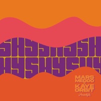 Shy - Single - Pesolife, Mars Meddo & Kaye Orbit