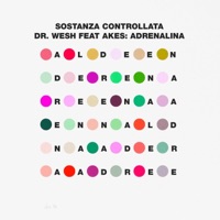 Adrenalina (feat. Akes) - Single - Dr. Wesh