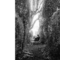 Amor de Medianoche - Single - Lídia Pujol