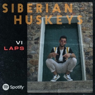 Siberian Huskeys - Single