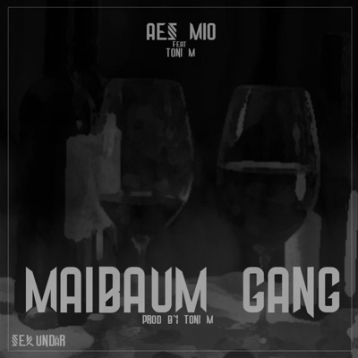 Maibaum Gang (feat. Toni m.) - Single