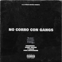 No corro con Gang (feat, Kingbroko, D galan) - Single - Danny Grazes