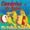 Tão Pedindo Vaneirão - Vol.1