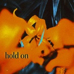 Weston Estate - Hold On