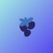 Wild Berry - Snoozi lyrics