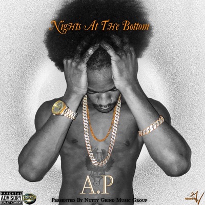 NigHts at the Bottom