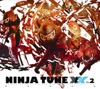 Dj Vadim The Terrorist (Gaslamp Computer Killer Remix) Ninja Tune XX, Vol. 2 (Bonus Version)