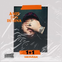 1+1 (feat. Råsa) - Single - Anis Don Demina