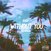 Without You (feat. Rydah) - Single