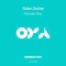 Wonder Way (Kamilo Sanclemente Remix) - Golan Zocher lyrics