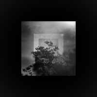 Rosewater - Single - Jpk.