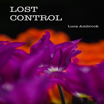 Lost Control - Single
