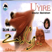 Thayya Thayya artwork