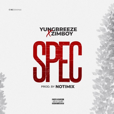 Spec (feat. Zimboy) - Single