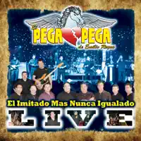 Amor Fingido (Live)