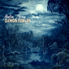 Leave It Alone - Damon Fowler