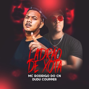 Ladrão de Xota (feat. Dj Dudu Coupper)