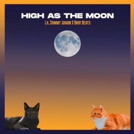 High As the Moon Lil Sammy Junior