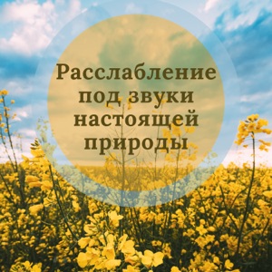 Расслабление под звуки настоящей природы: Успокаивающие техники, Йога и медитация, Справиться со стрессом