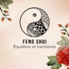 Ensemble de Musique Zen Relaxante