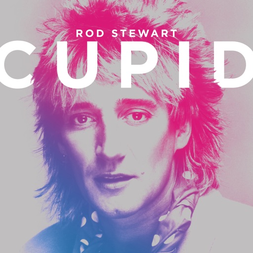 Art for Love Touch (Theme From Legal Eagles) by Rod Stewart