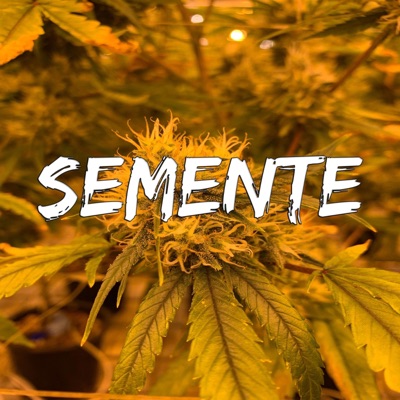 Semente - Single