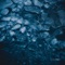 Feather - Evoe lyrics