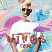 Wings artwork