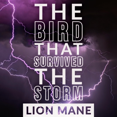 The Bird That Survived the Storm - Single