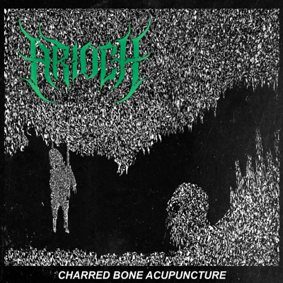 Charred Bone Acupuncture - Single