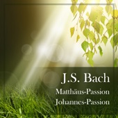 Bach: Matthäus-Passion; Johannes-Passion artwork